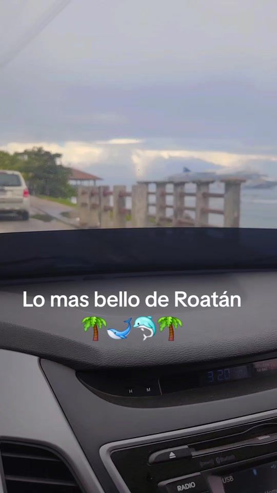 TikTok video thumbnail by sarinajecxa