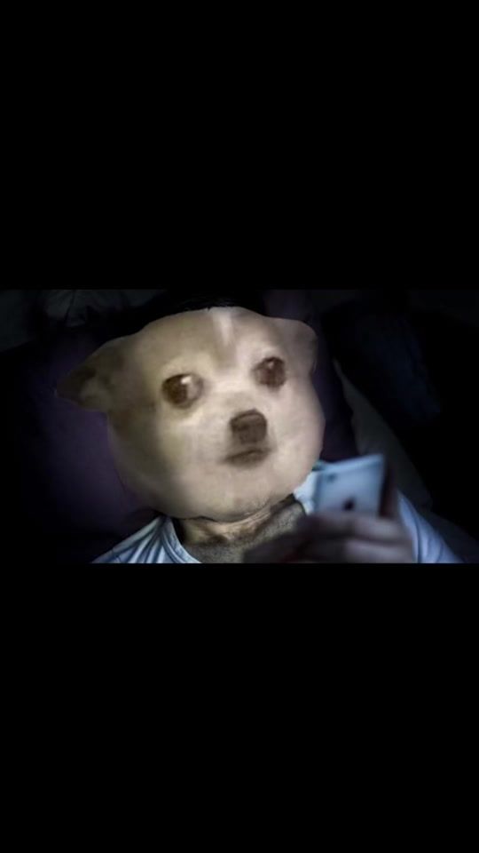 TikTok video thumbnail by nualthedog