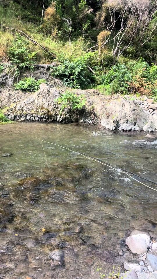 TikTok video thumbnail by baxter_flyfishnz