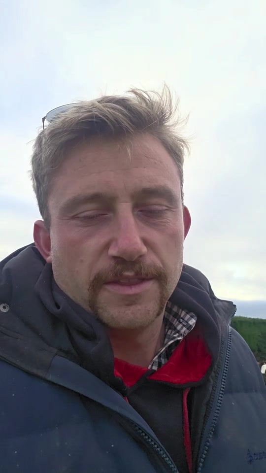 TikTok video thumbnail by georgefarms