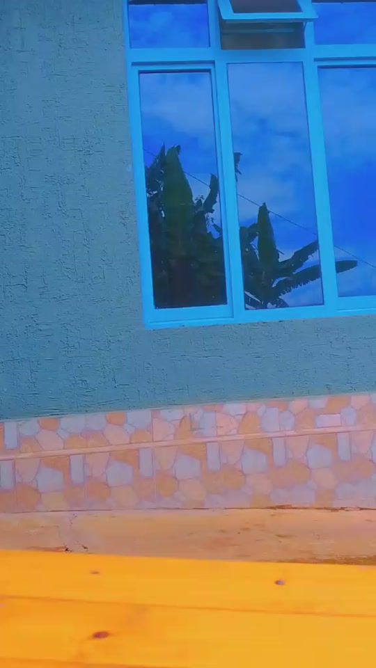 TikTok video thumbnail by chanteumy4z