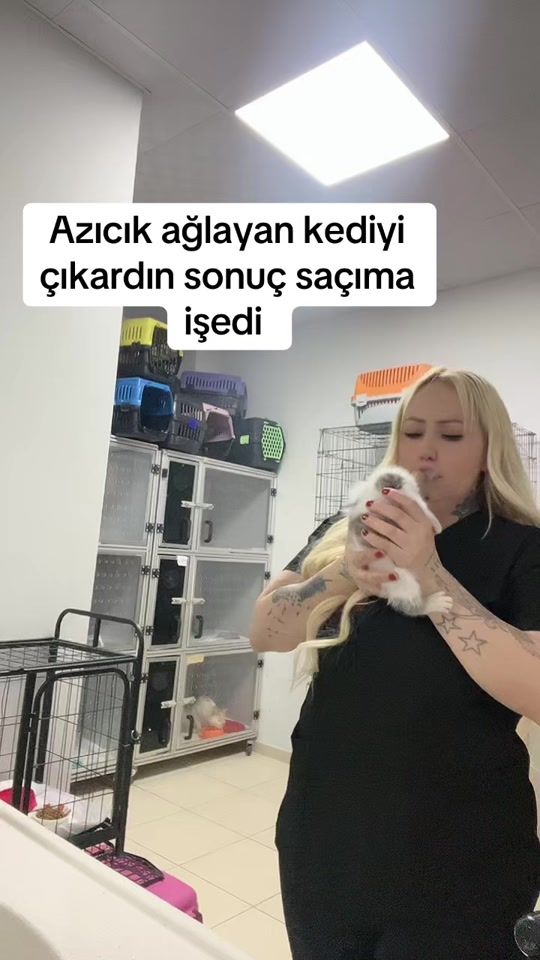 TikTok video thumbnail by bayaninfaz