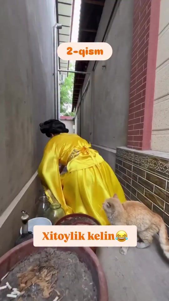 TikTok video thumbnail by mohi00122