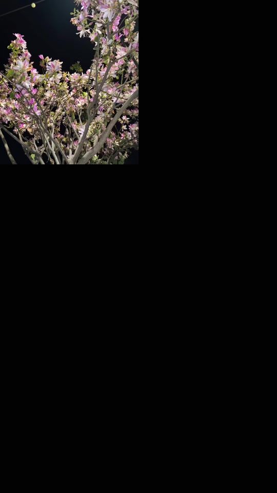TikTok video thumbnail by supriyagopali4
