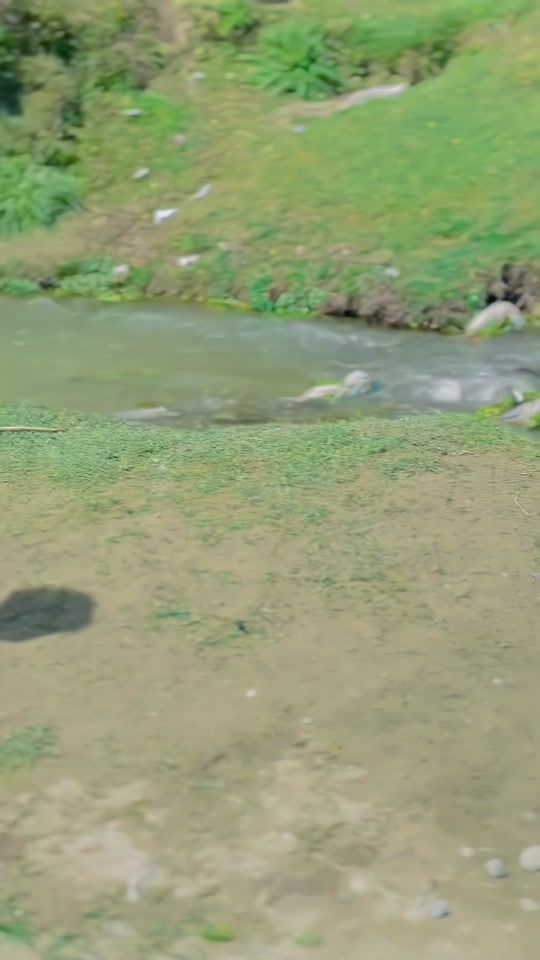 TikTok video thumbnail by ayaz__khan618