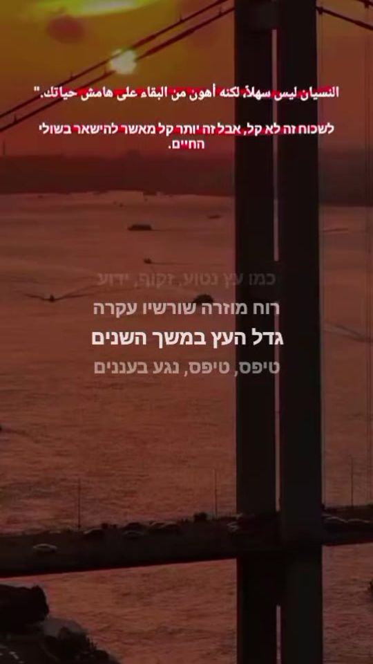 TikTok video thumbnail by bla.ck995
