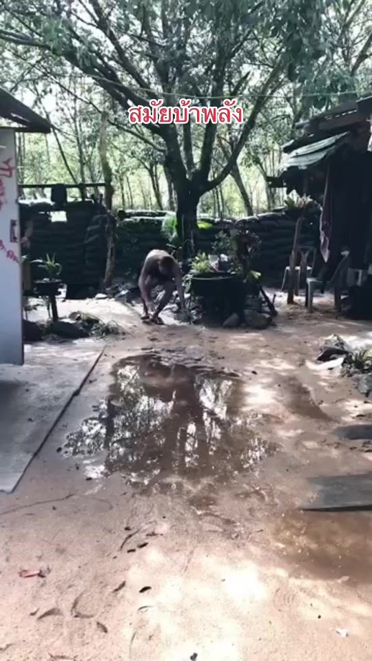 TikTok video thumbnail by recon_1995