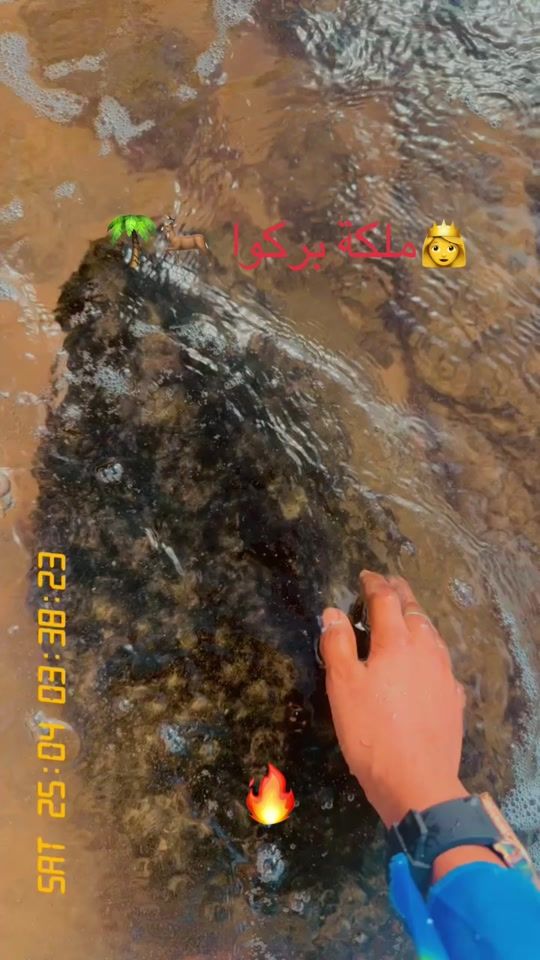 TikTok video thumbnail by malka_bourkou