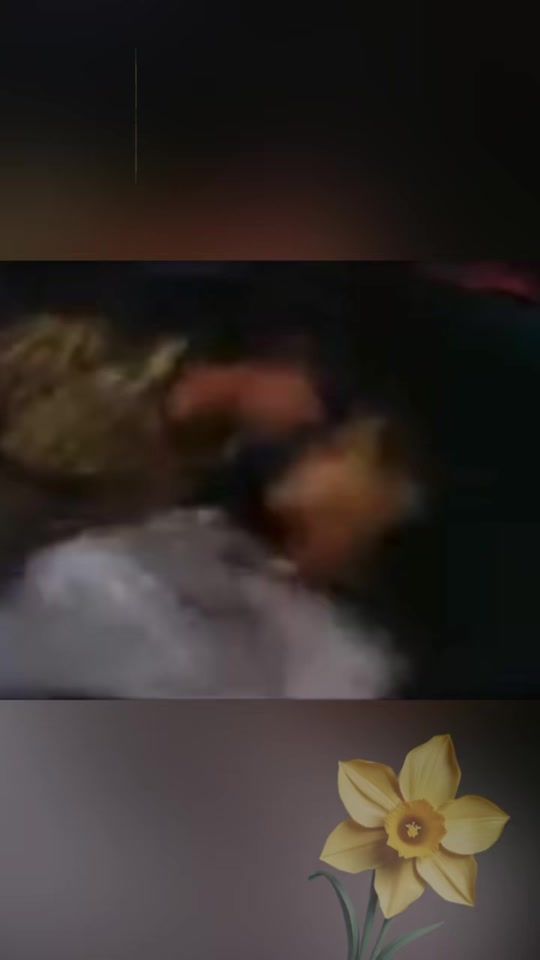 TikTok video thumbnail by daffodil.mv
