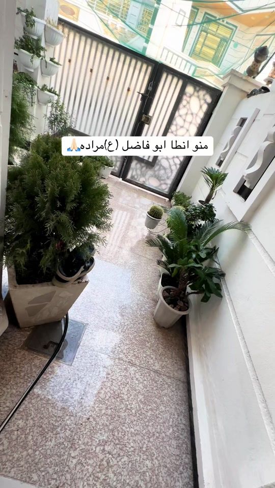 TikTok video thumbnail by s1m200