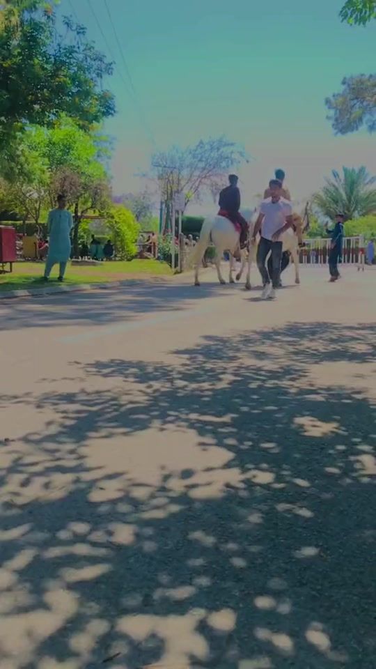 TikTok video thumbnail by ibadat_anwar