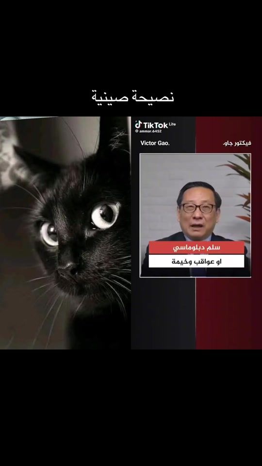 TikTok video thumbnail by haytham011