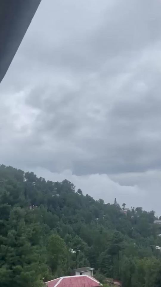 TikTok video thumbnail by have_fun_24