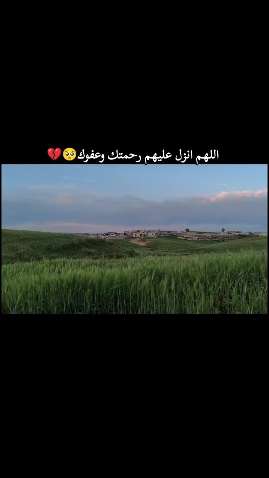 TikTok video thumbnail by ah.md20_