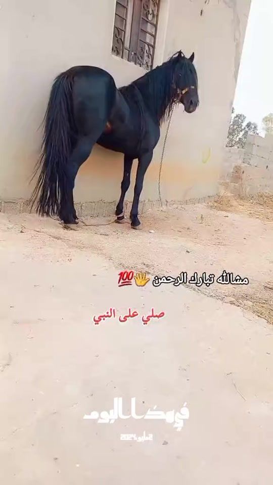 TikTok video thumbnail by mohammed_22.9