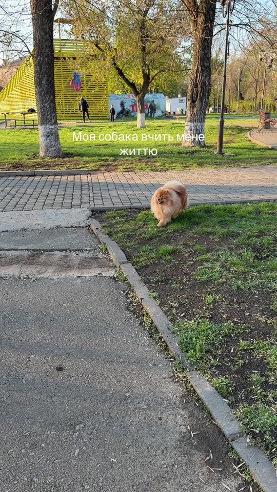 TikTok video thumbnail by ira_yurievna