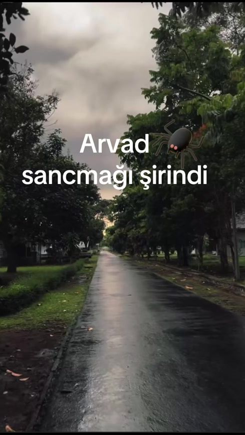 TikTok video thumbnail by xatire_huseynova1961