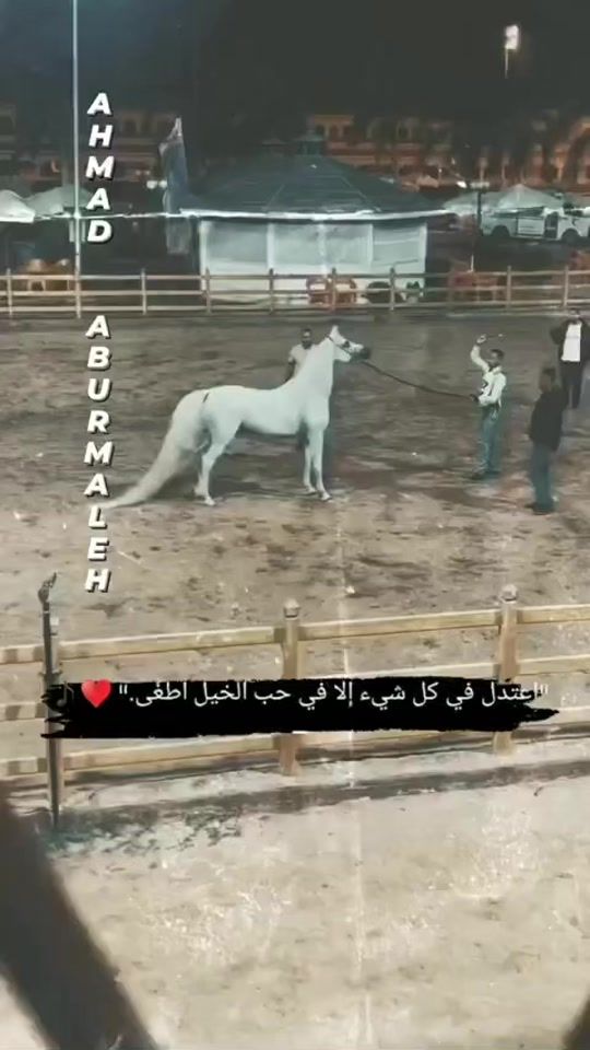 TikTok video thumbnail by pkbbnn8