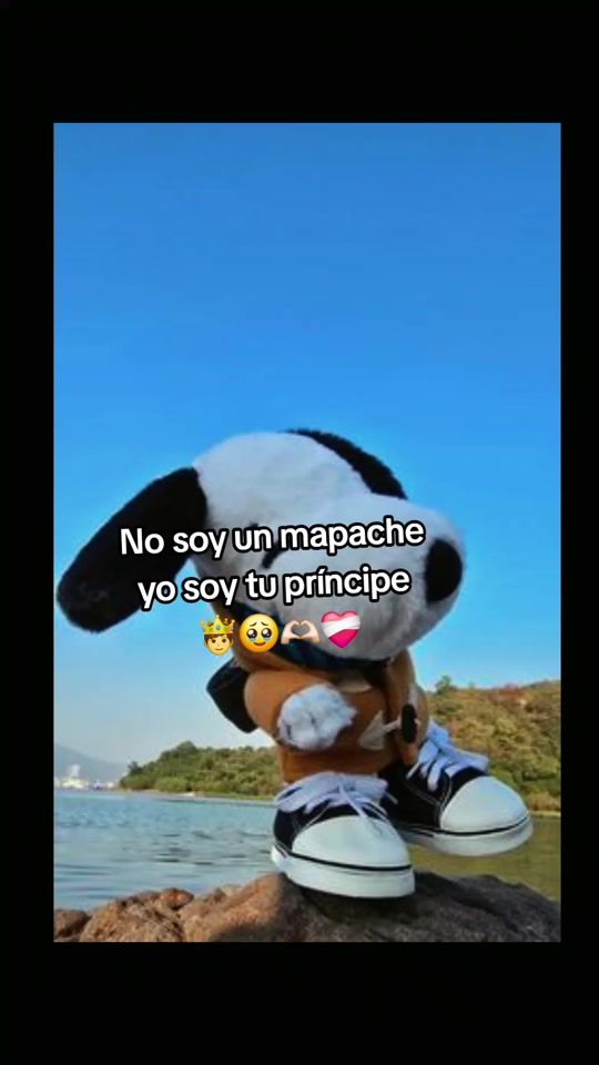 TikTok video thumbnail by wilsonixchop3