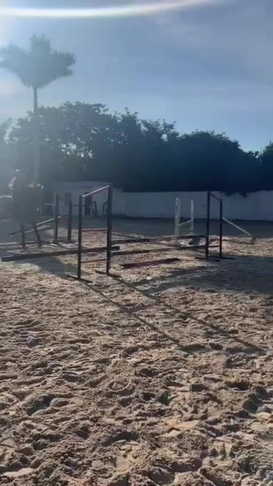 TikTok video thumbnail by artibb0