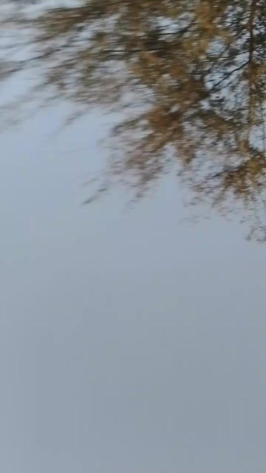 TikTok video thumbnail by md_robul_9615