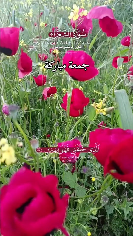 TikTok video thumbnail by baraa.om