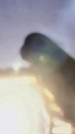 TikTok video thumbnail by tl_9420