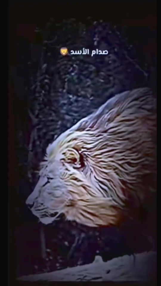 TikTok video thumbnail by anjnc4