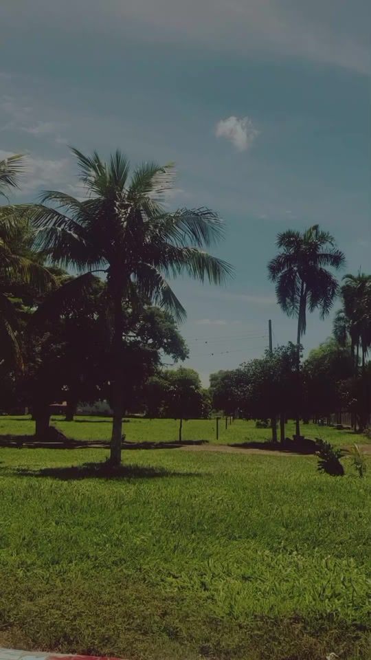 TikTok video thumbnail by tda_costa