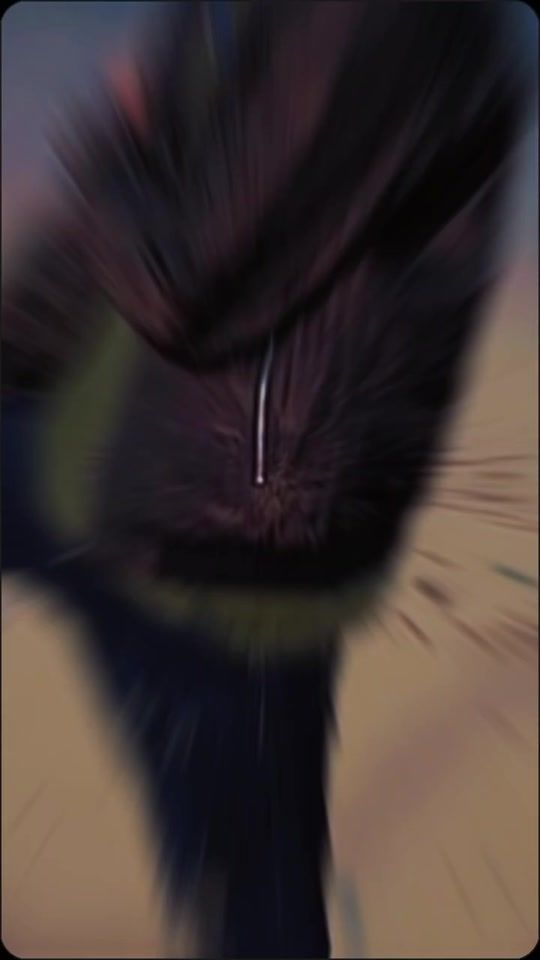 TikTok video thumbnail by hashem.thomast