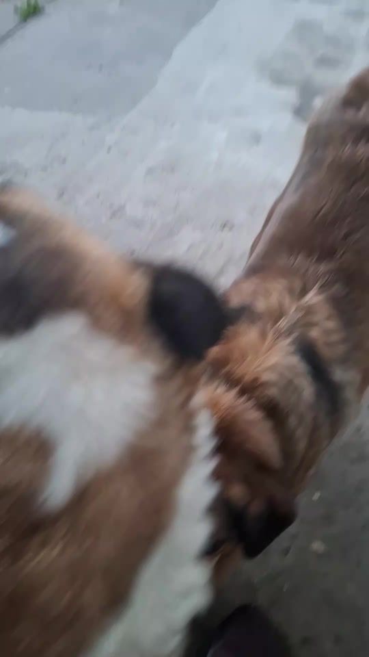 TikTok video thumbnail by mojlaleija