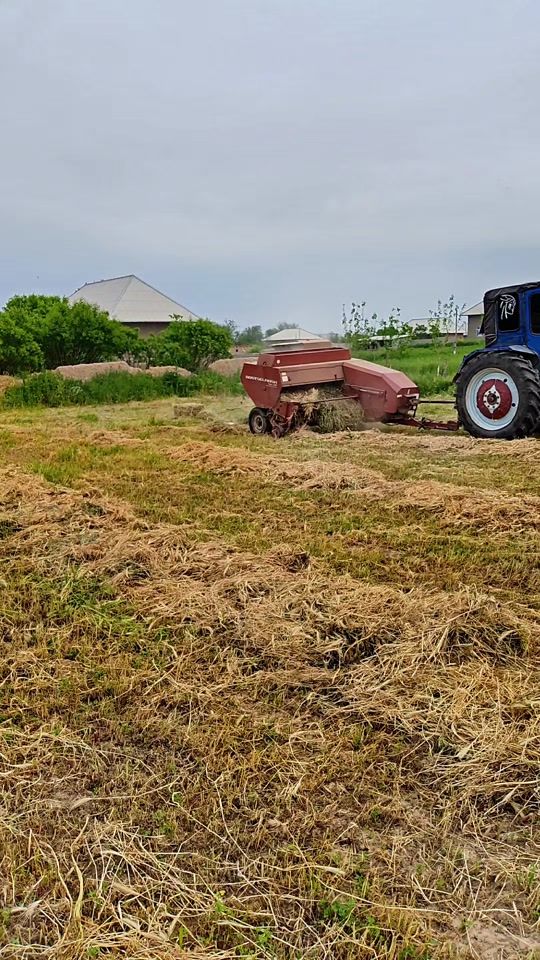 TikTok video thumbnail by kamolboy4400