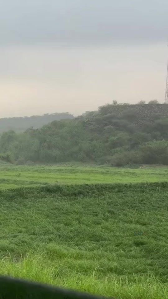 TikTok video thumbnail by theqz4
