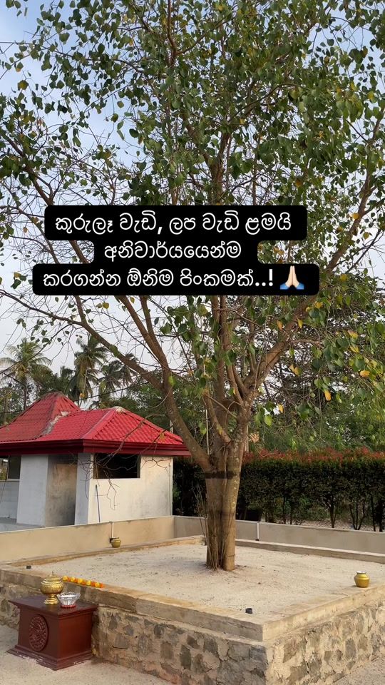 TikTok video thumbnail by ashen_marasinghe_