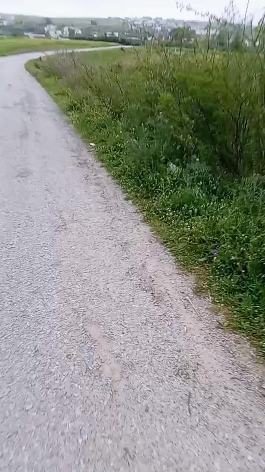 TikTok video thumbnail by chamchet.bassem