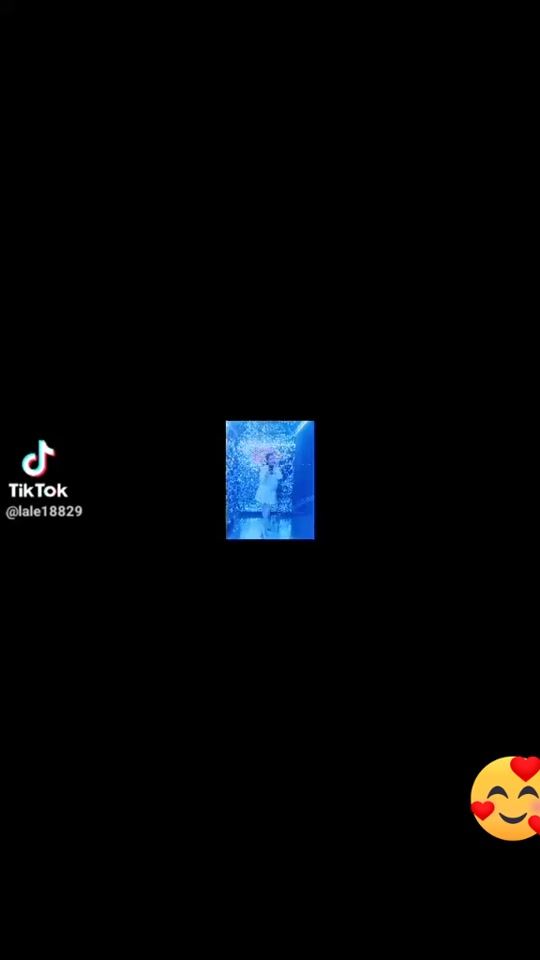 TikTok video thumbnail by lalaeeeeeeeeeeeeeee