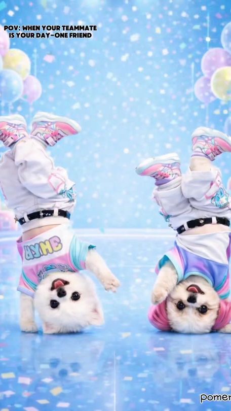 TikTok video thumbnail by pomeme2025
