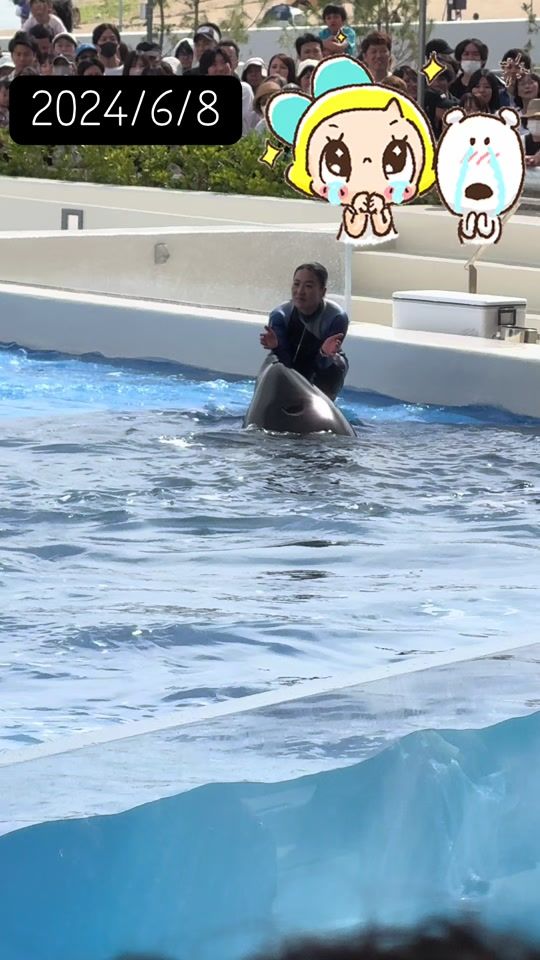 TikTok video thumbnail by kei_orca0115