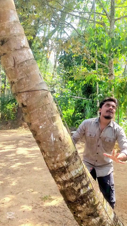 TikTok video thumbnail by maduamith95