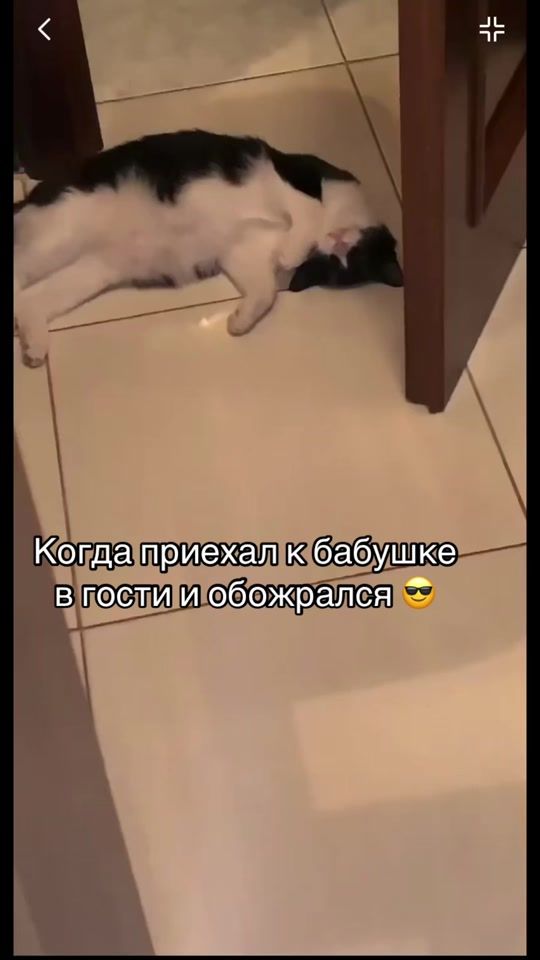 TikTok video thumbnail by bakaevamira