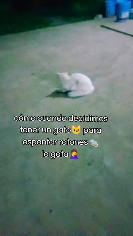 TikTok video thumbnail by roberta03carlos27jaen