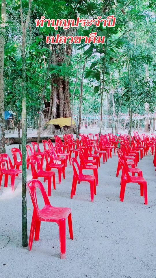 TikTok video thumbnail by teerapoj