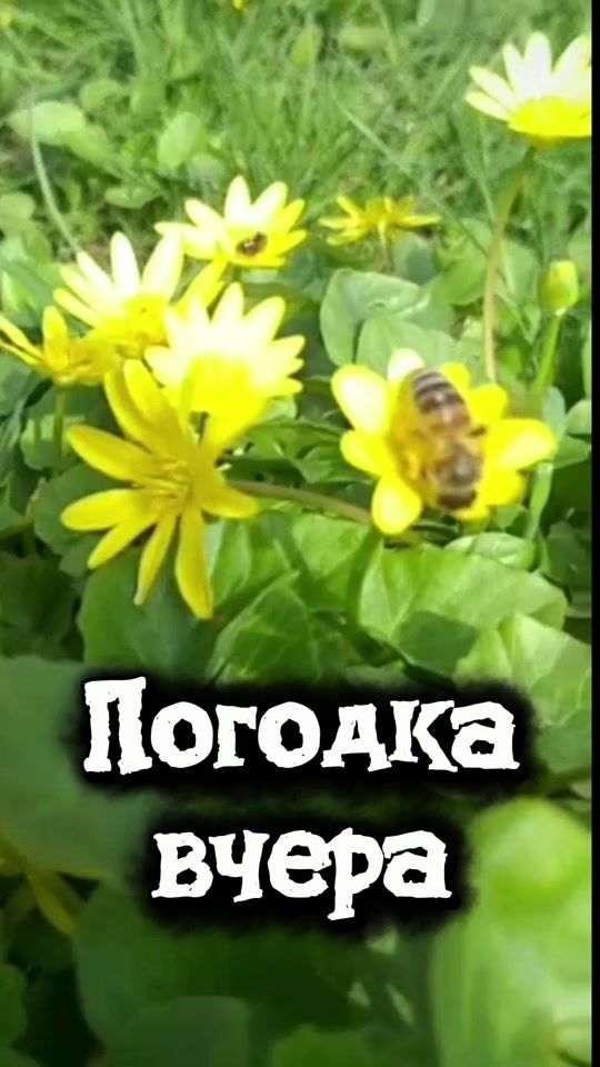 TikTok video thumbnail by ____anyutka_____