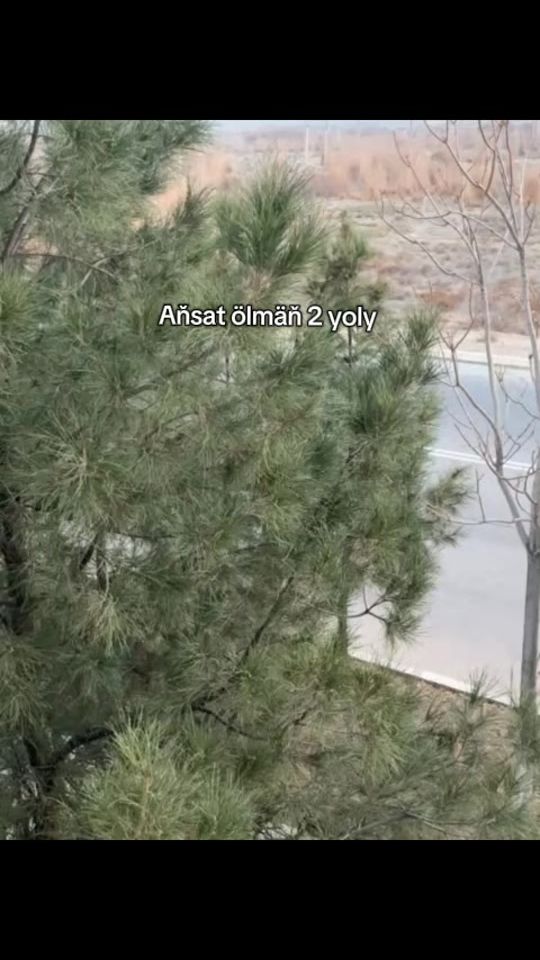 TikTok video thumbnail by userrrr_11966