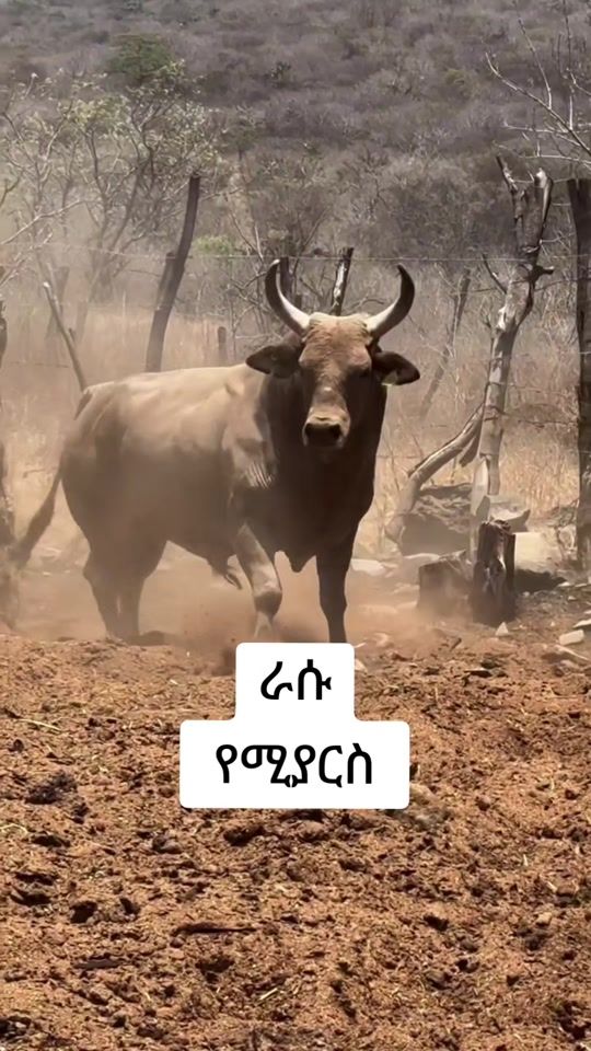 TikTok video thumbnail by dearkedir3