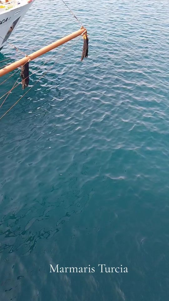 TikTok video thumbnail by user806464767