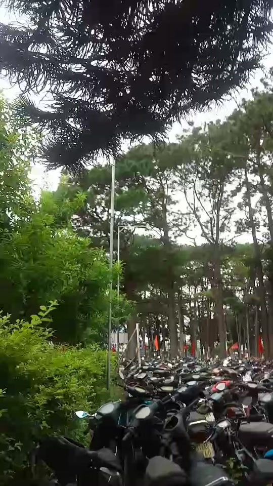 TikTok video thumbnail by chu.bab
