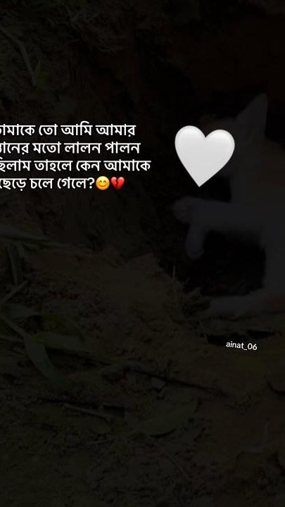 TikTok video thumbnail by ainat_06