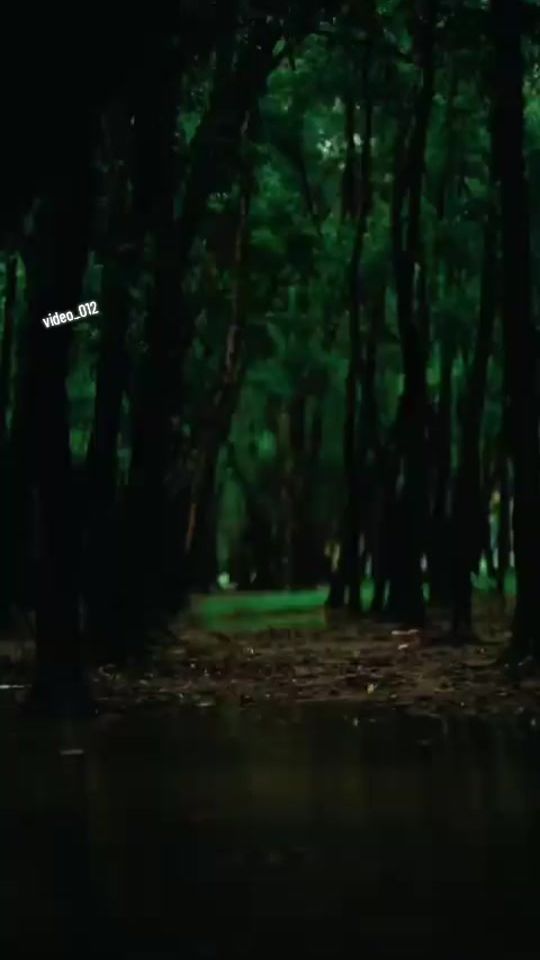 TikTok video thumbnail by video_012_