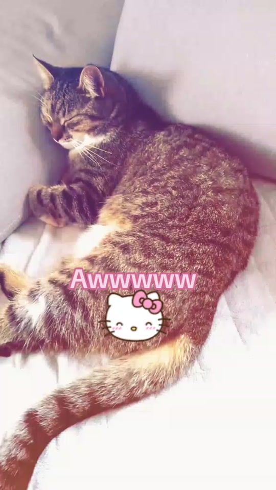 TikTok video thumbnail by soffi0832